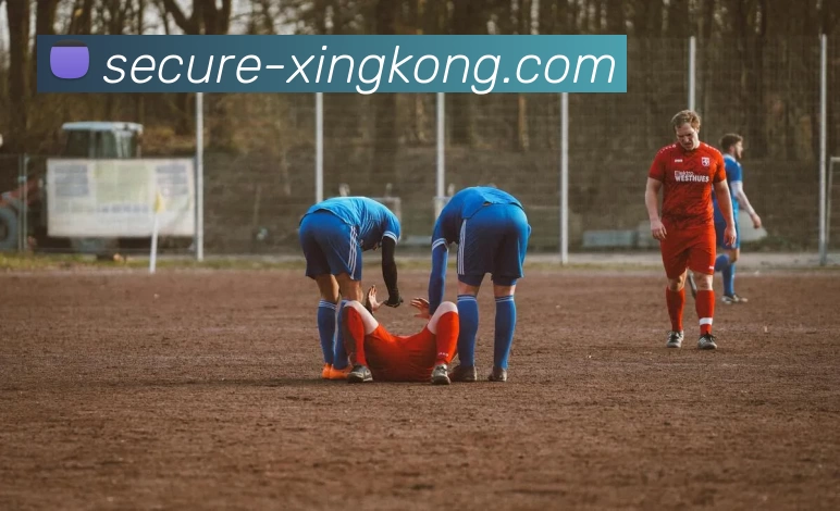 App Interface Preview