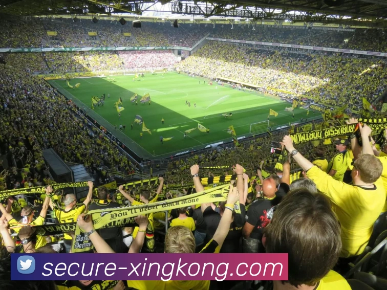 多媒体互动体验