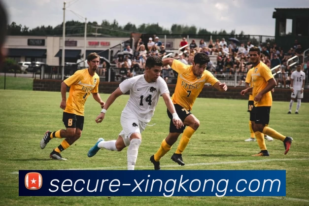 xingkongAPP 封面图